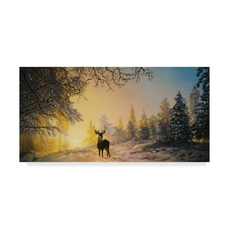 D. Rusty Rust 'White Tailed Deer' Canvas Art,12x24